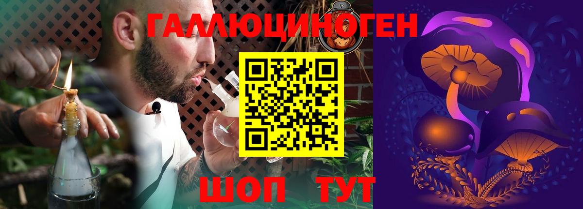 Бузулук  Псилоцибиновые грибы Psilocybe  Псилоцибиновые грибы мицелий  Вход с VPN 